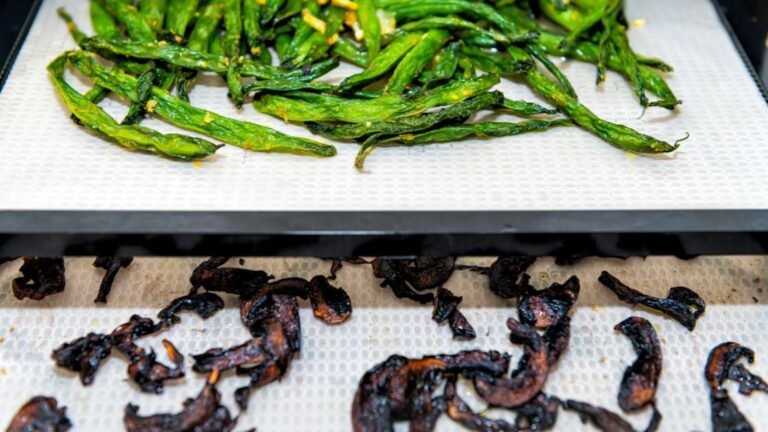 dehydrated green beans on a food dehydrator tray