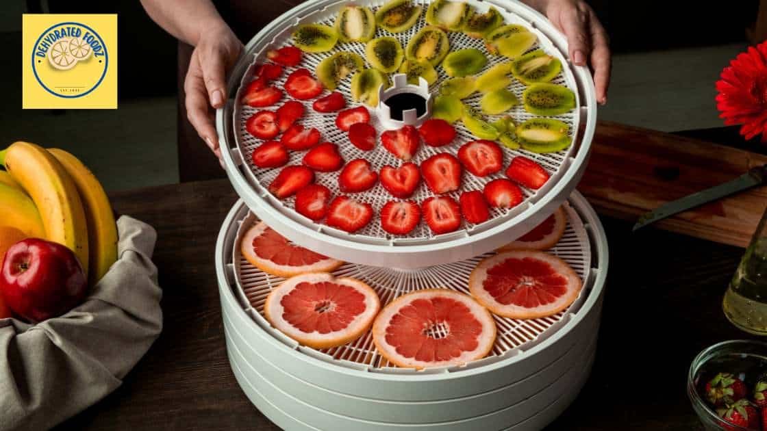 sliced fruit on food dehydrator trays