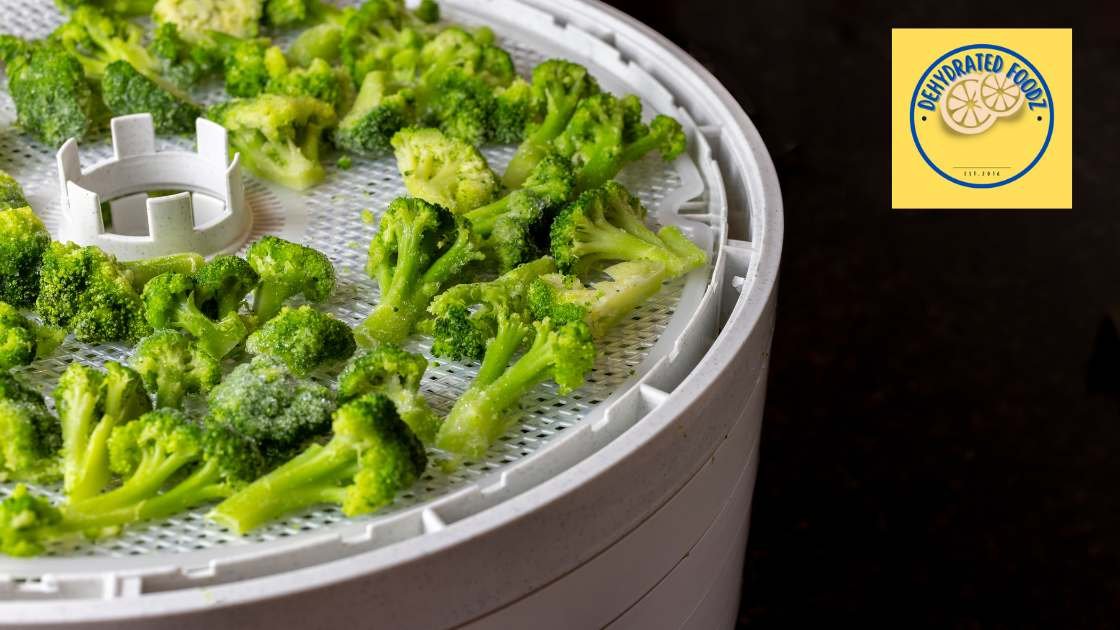 broccoli on food dehydrator trays ready to be dehydrated