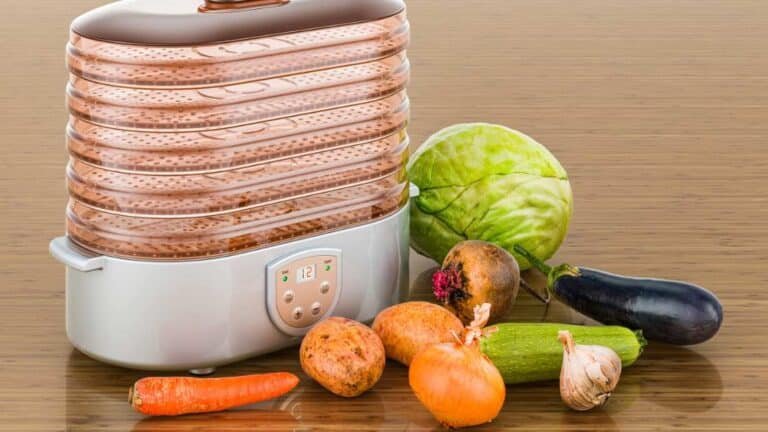 Food dehydrator with vegeteables on wooden table
