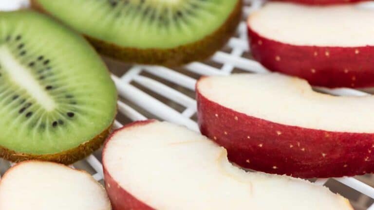dehydrator tray with apple slices and kiwi