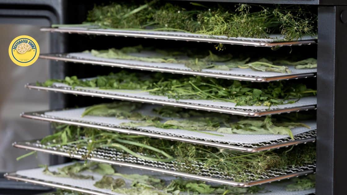 herbs on food dehydrator trays