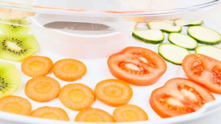 Sliced fruit and vegetables on dehydrator tray