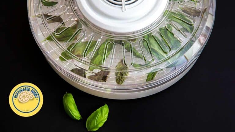 herbs drying in a food dehydrator