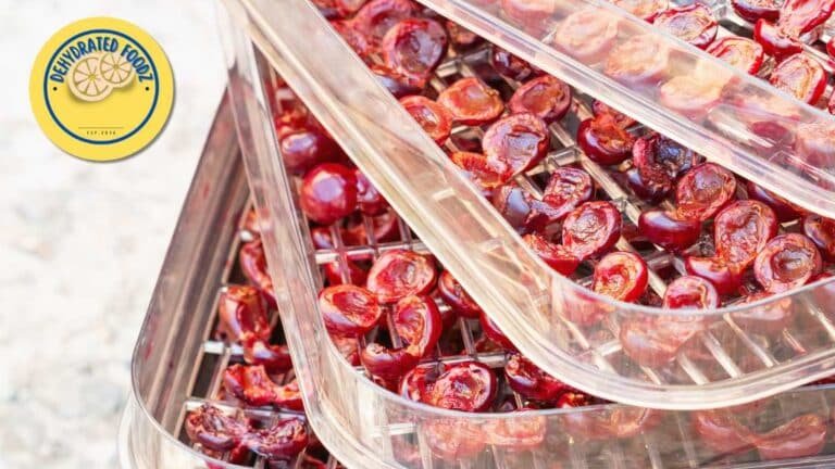 Image of sliced tomatoes on food dehydrator trays