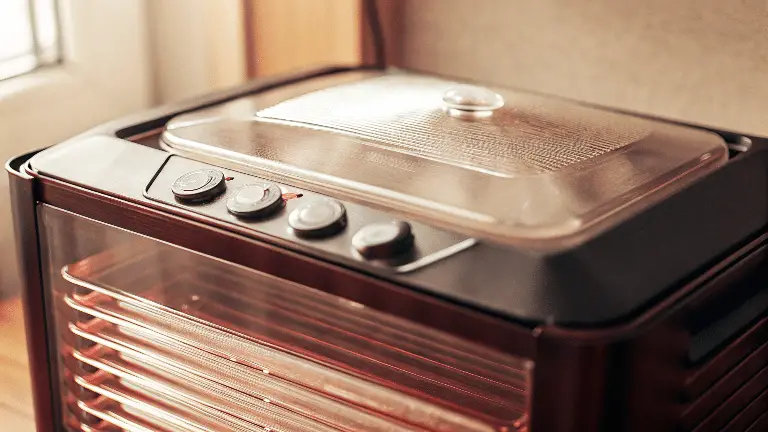 A closeup image of a sleek black food dehydrator.