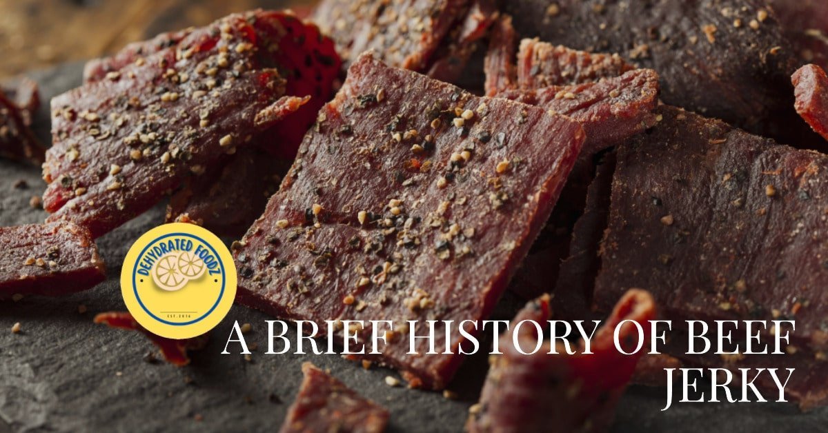 slices of beef jerky on a wooden background. Yellow dehydrated Foodz website logo