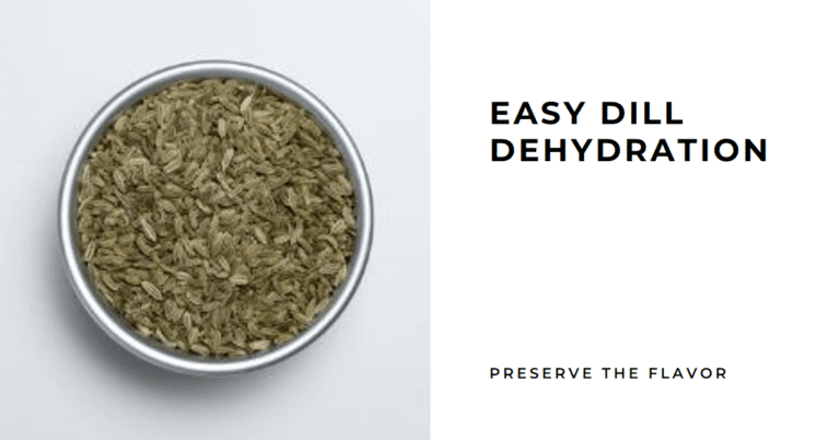 dehydrated dill seeds in a white bowl on a light gfrey background