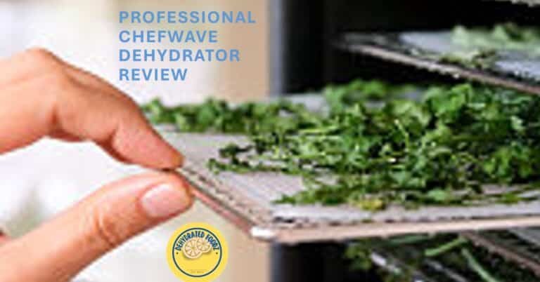 A womans hand putting herbs in a food dehydrator tray