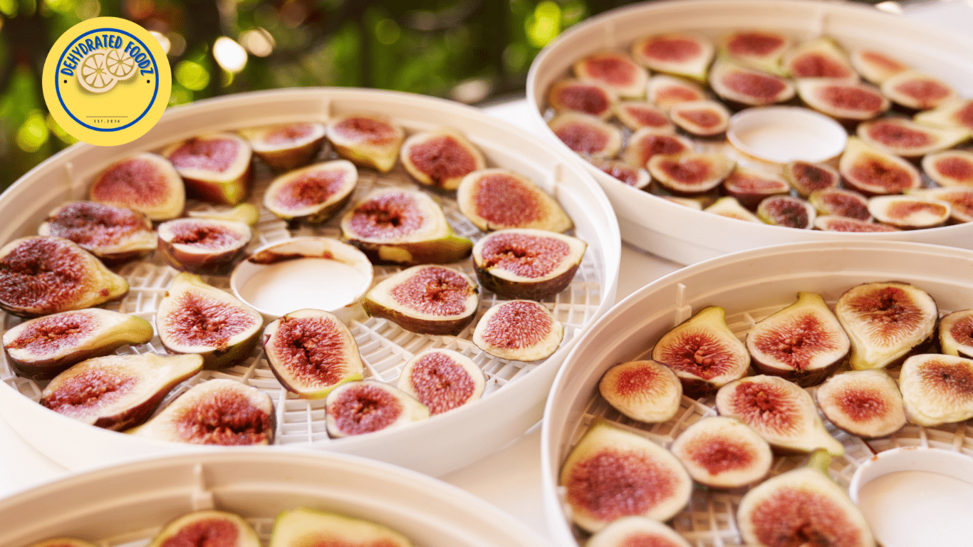 sliced figs on circle dehydrator trays.