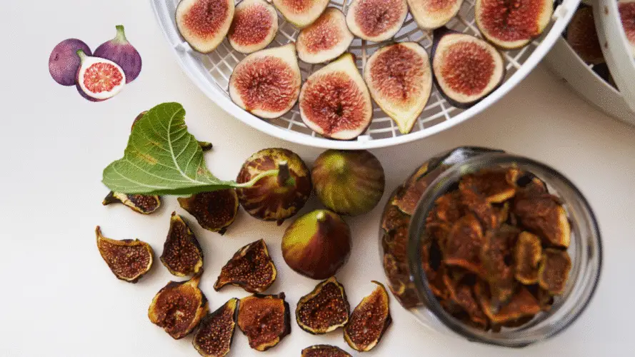 Fresh figs in a dehydrator next to dried figs.