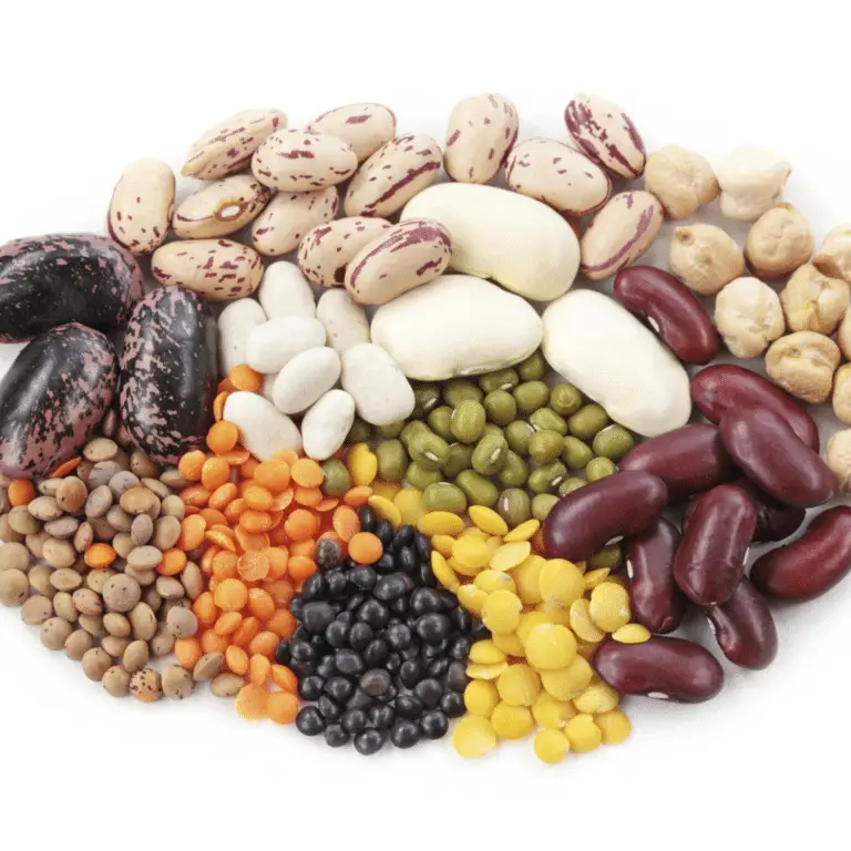 assortment of beans on a white background.