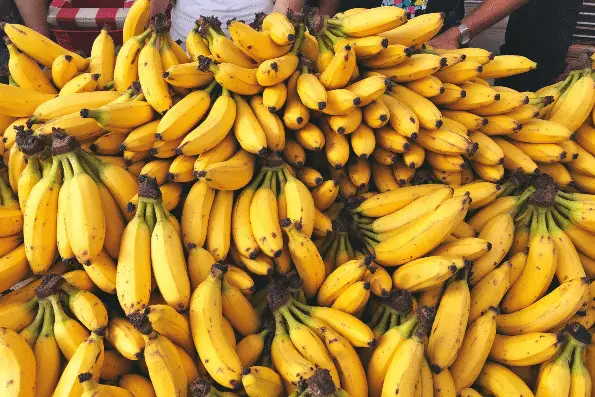 Ripe bananas overlapped on each other.