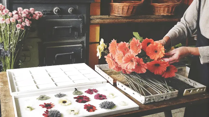 A person picking flowers in a kitchen.