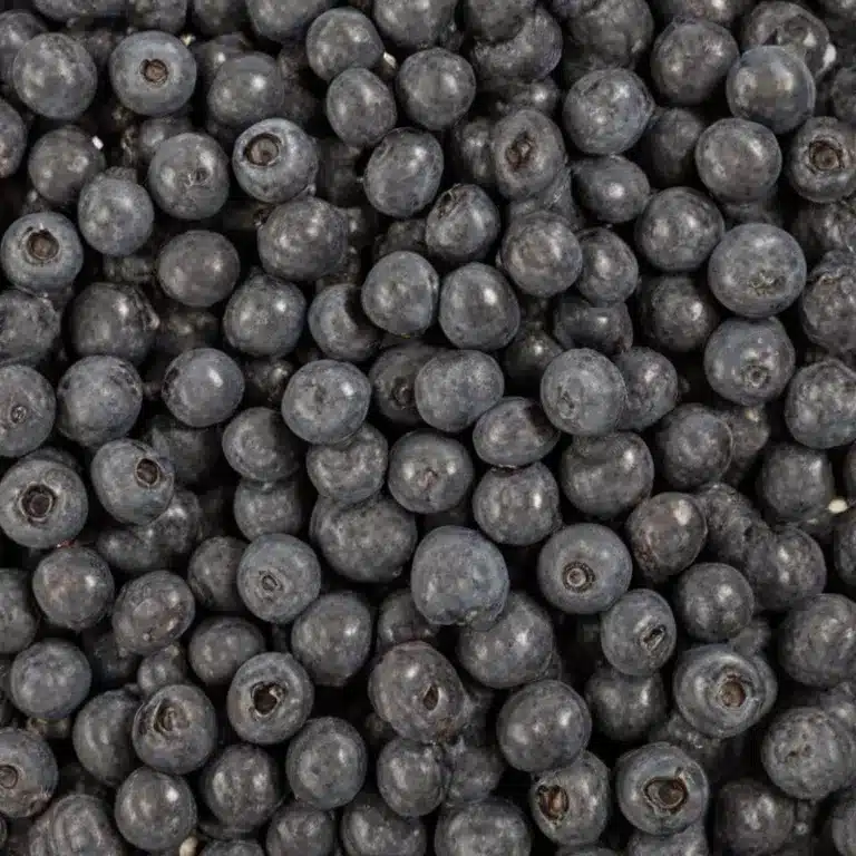 October 27, 2025 |    blueberries overlapped on each other.