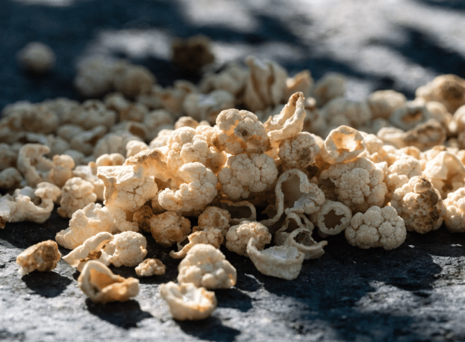 Pile of dried cauliflower florets scattered on a dark surface, close-up.
