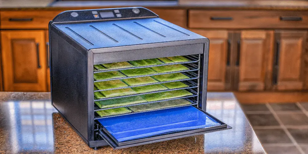 a sleek black food dehydrator on a kitchen counter.
