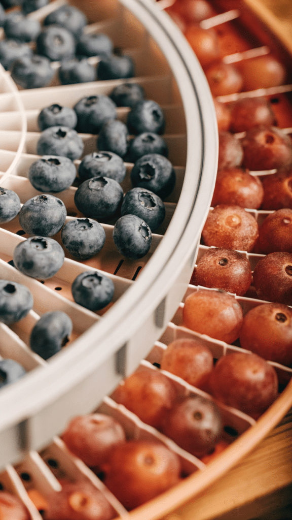 The image shows a dehydrator tray filled with fresh blueberries arranged in a single layer, ready for the dehydration process. The blueberries are being prepared to be transformed into a healthy snack, which can be stored in an airtight container for long shelf life.
