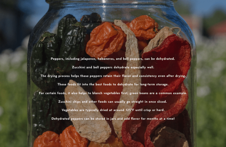 Jar of assorted dried peppers with a text guide about dehydrating peppers for storage