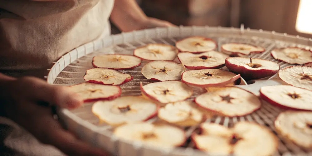 A photo of a person in a light-colored, textured garment, attending to apple slices on a large, circular, wire-meshed drying rack. The rack is designed to allow airflow for the drying process. The apples have a mix of red and lighter tones, with the edges of the slices showing a clear distinction between the fruit and the skin. The photo is a close-up, focusing on the details of the drying process. The background is softly blurred.