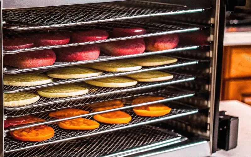 Food being preserved in a food dehydrator.