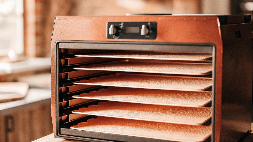 A sleek bronze food dehydrator in a kitchen.