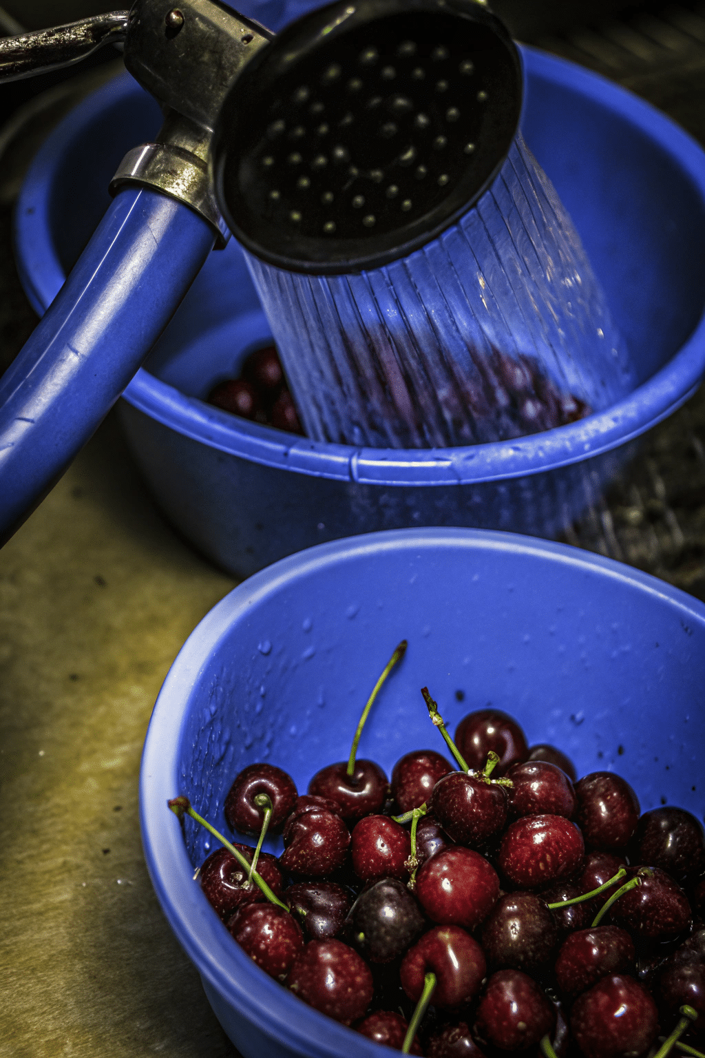 A close-up image of fresh cherries being washed and pitted, with a cherry pitter and a bowl of cherries ready for dehydration.
