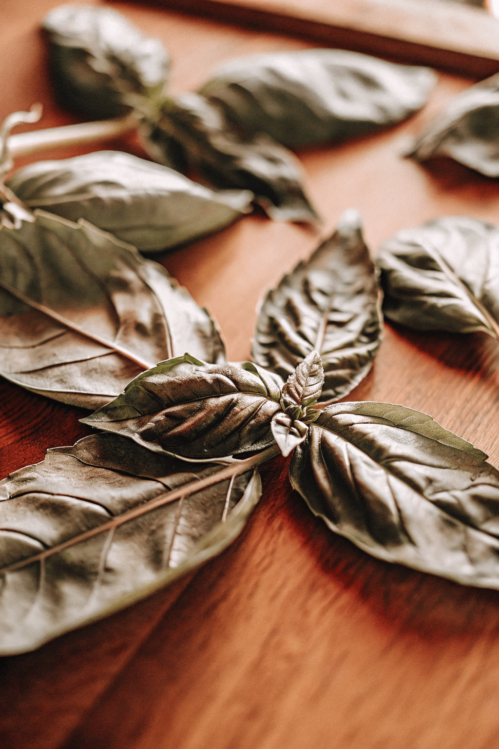 A close-up photograph featuring a warm, brown-toned wooden surface with several large, fresh basil leaves scattered on it. The basil leaves are rich in a mix of green hues, showcasing a healthy appearance with a slightly textured surface. The leaves are arranged in a way that they seem to be casually strewn across the surface, with some overlapping and others spread out. The lighting in the image is soft and warm. The background is blurred.