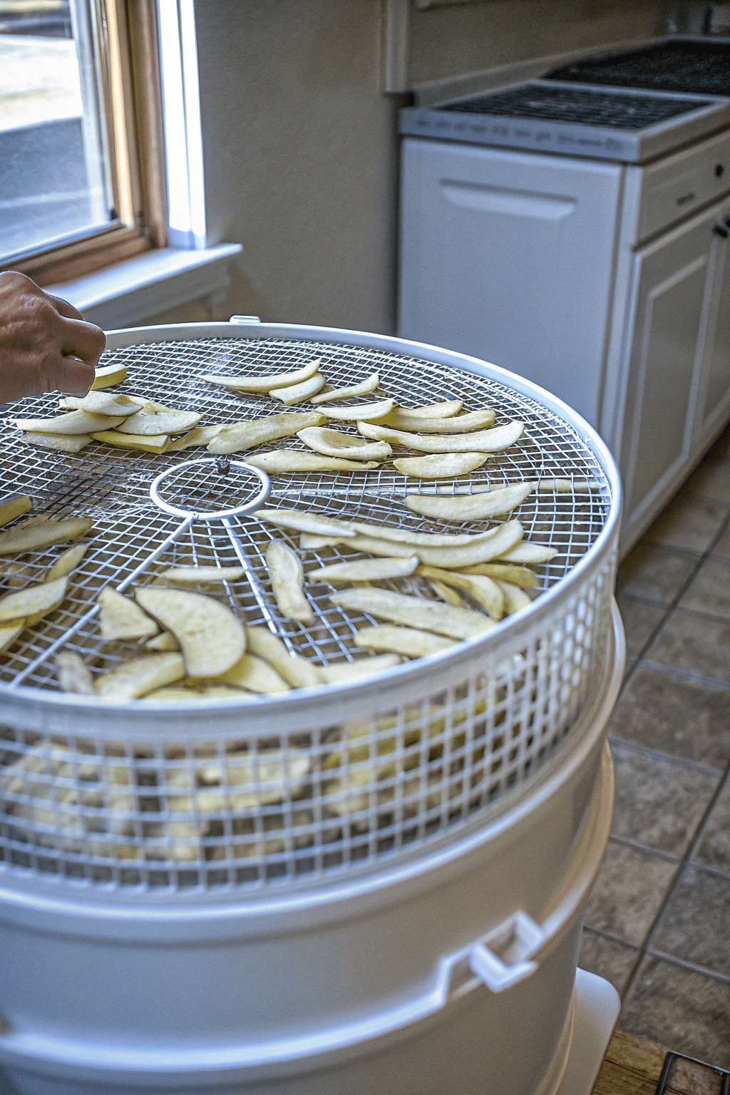 A photo of a scene in a kitchen where food is being prepared. A hand is interacting with a food dehydrator, which is a large, cylindrical appliance with a wire mesh surface designed for drying and preserving food items. The appliance is predominantly white and is positioned in the foreground. The kitchen setting includes a window with natural light coming through and a white cabinet with a closed design in the background. The floor has a tiled appearance with a neutral color palette. The image is a straightforward, close-up photograph.
