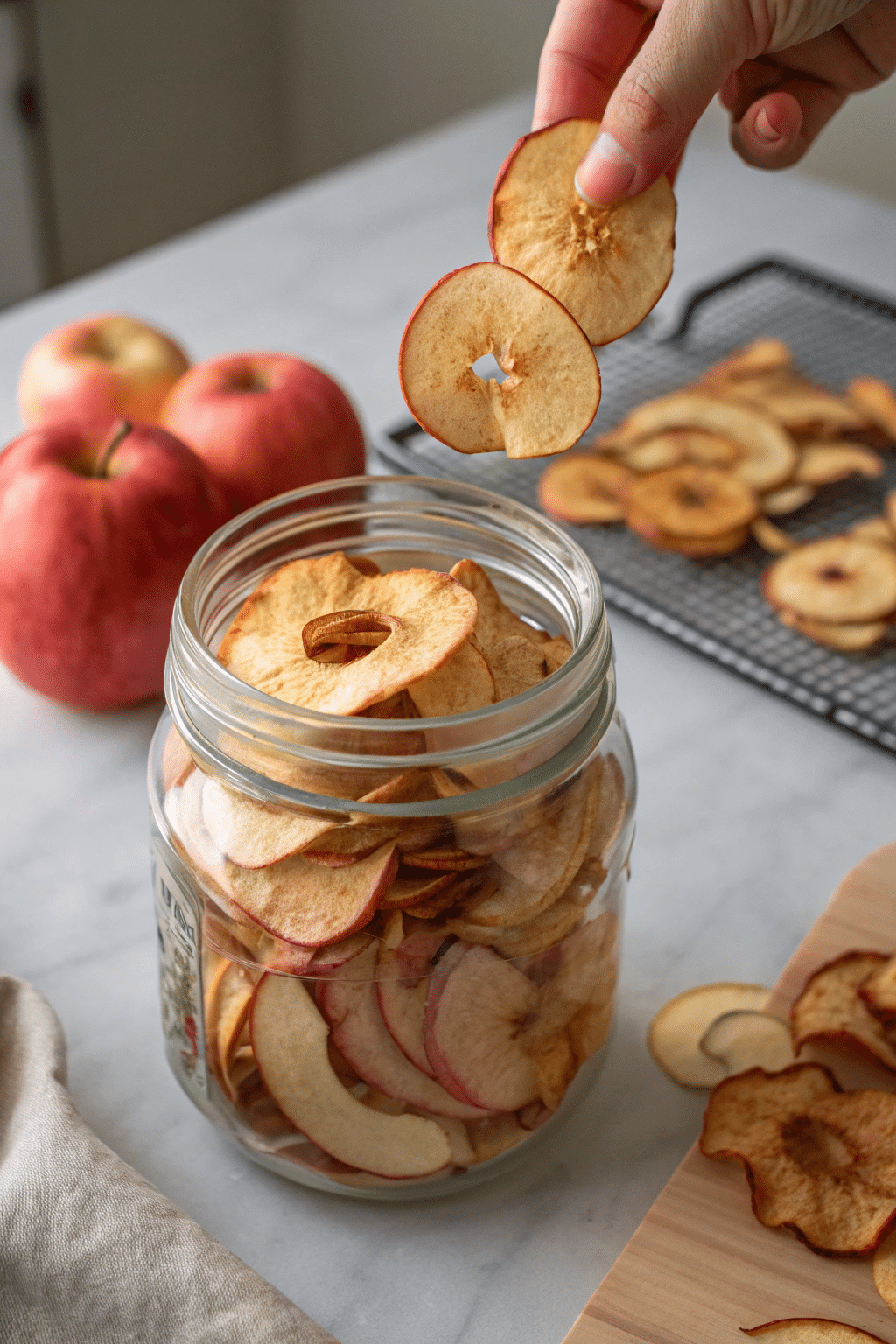 An image of dehydrated apple slices being placed into an airtight container, highlighting the storage process to maintain freshness.