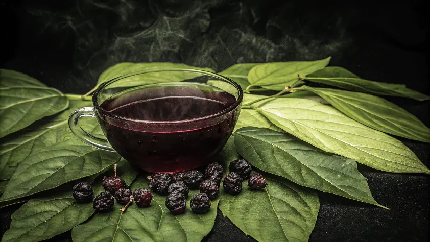 Berry tea in a cup on leaves of herbs.