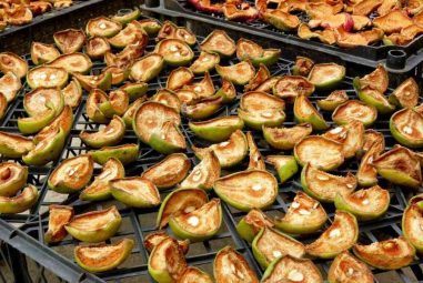 Tips, Tricks and Things to Do with a Food Dehydrator
