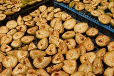 Where to Buy Excalibur Food Dehydrator: The Best Online Shopping Deals